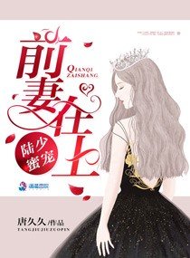 陸太太好久不見/陸少蜜寵:前妻在上
