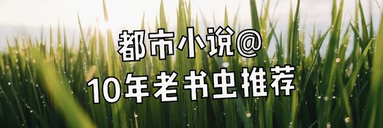 都市小说@10年老书虫推荐